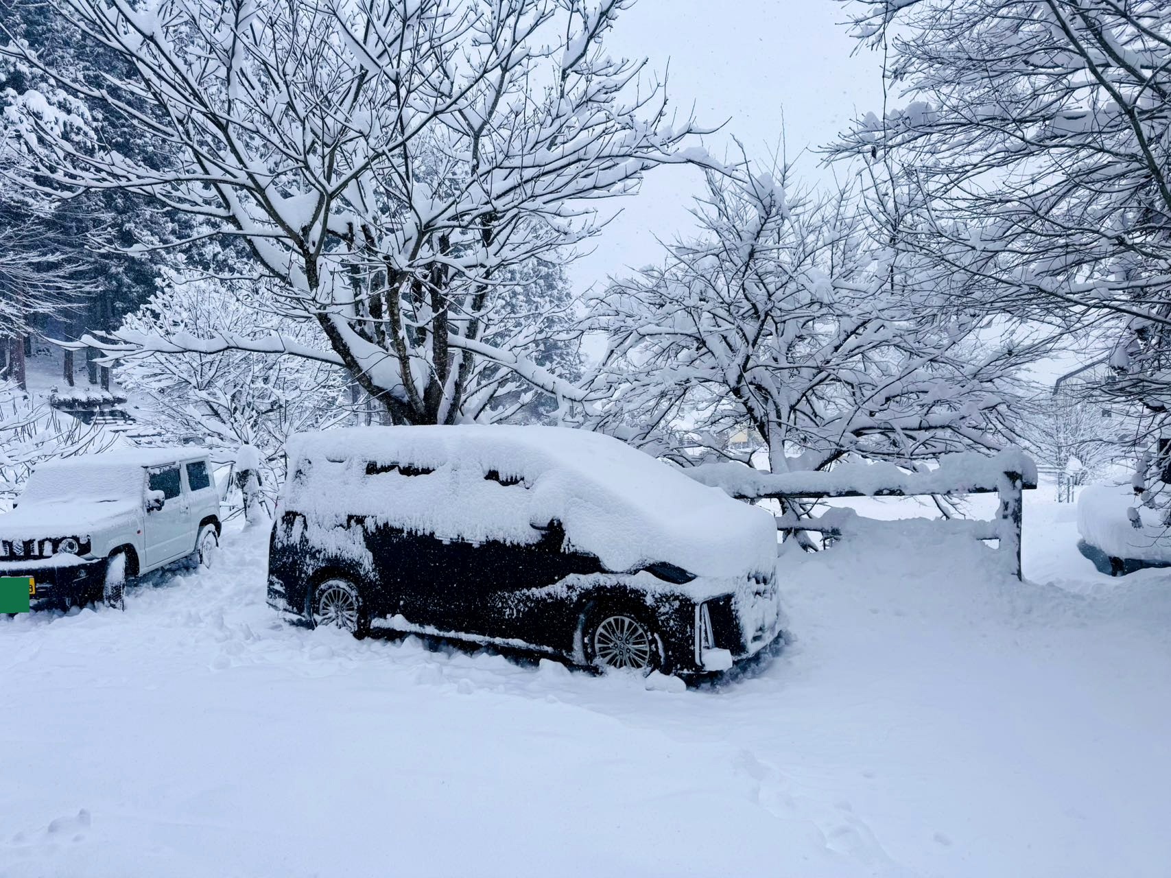 5-seat minivan snow forest operations