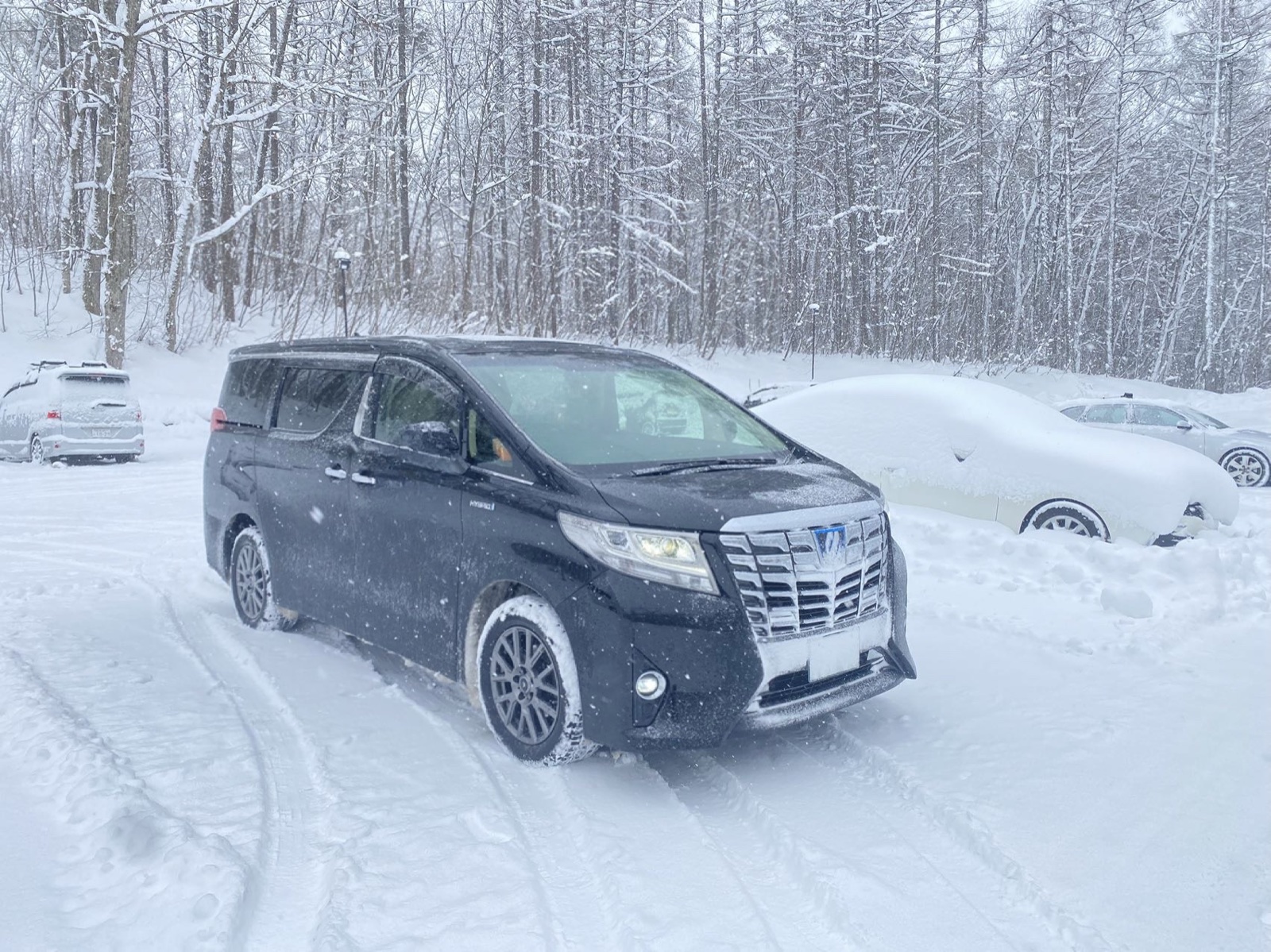 5-seat minivan resort private transfer